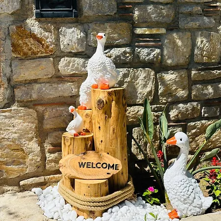 Anfora Ξενοδοχείο 3*