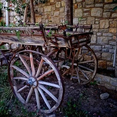 Villa Anfora 3* Датча